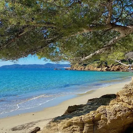 Maison Calme Et Spacieuse 8 Personnes Les Mimosas *